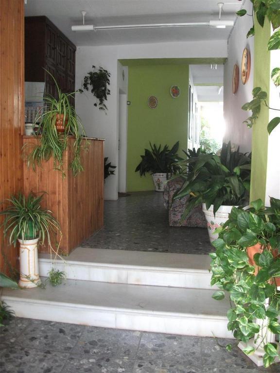 Alojamientos Casa Tejon Mijas Ngoại thất bức ảnh