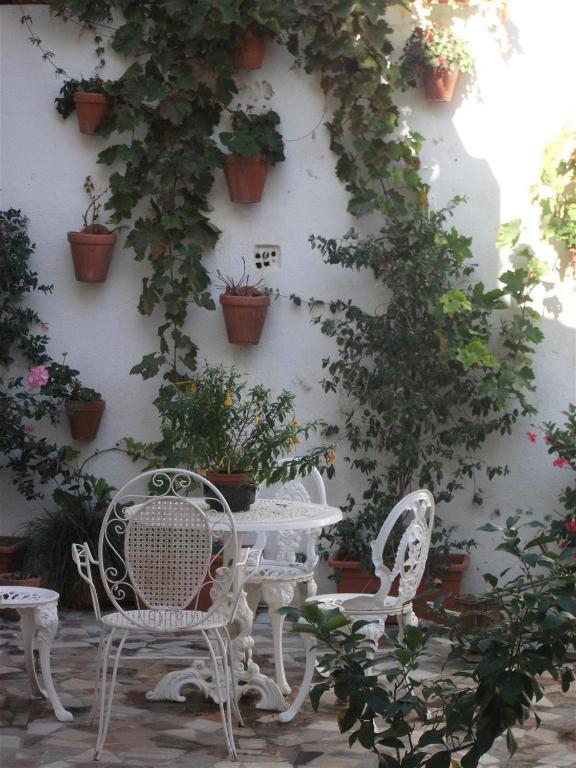 Alojamientos Casa Tejon Mijas Ngoại thất bức ảnh